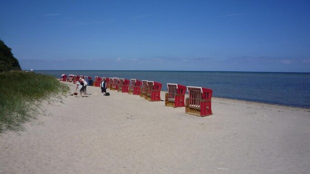 A beach with rows of red beach chairs lined up along the sand. - Schwedenhaus Zierow mit Terrasse und Grill by Interhome (Alt Jassewitz)
