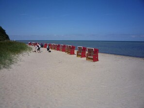 Een strand met rijen rode strandstoelen langs de zandruimte.