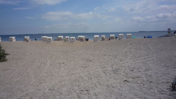 Une plage bordée de cabanes de plage numérotées, alignées les unes à côté des autres.