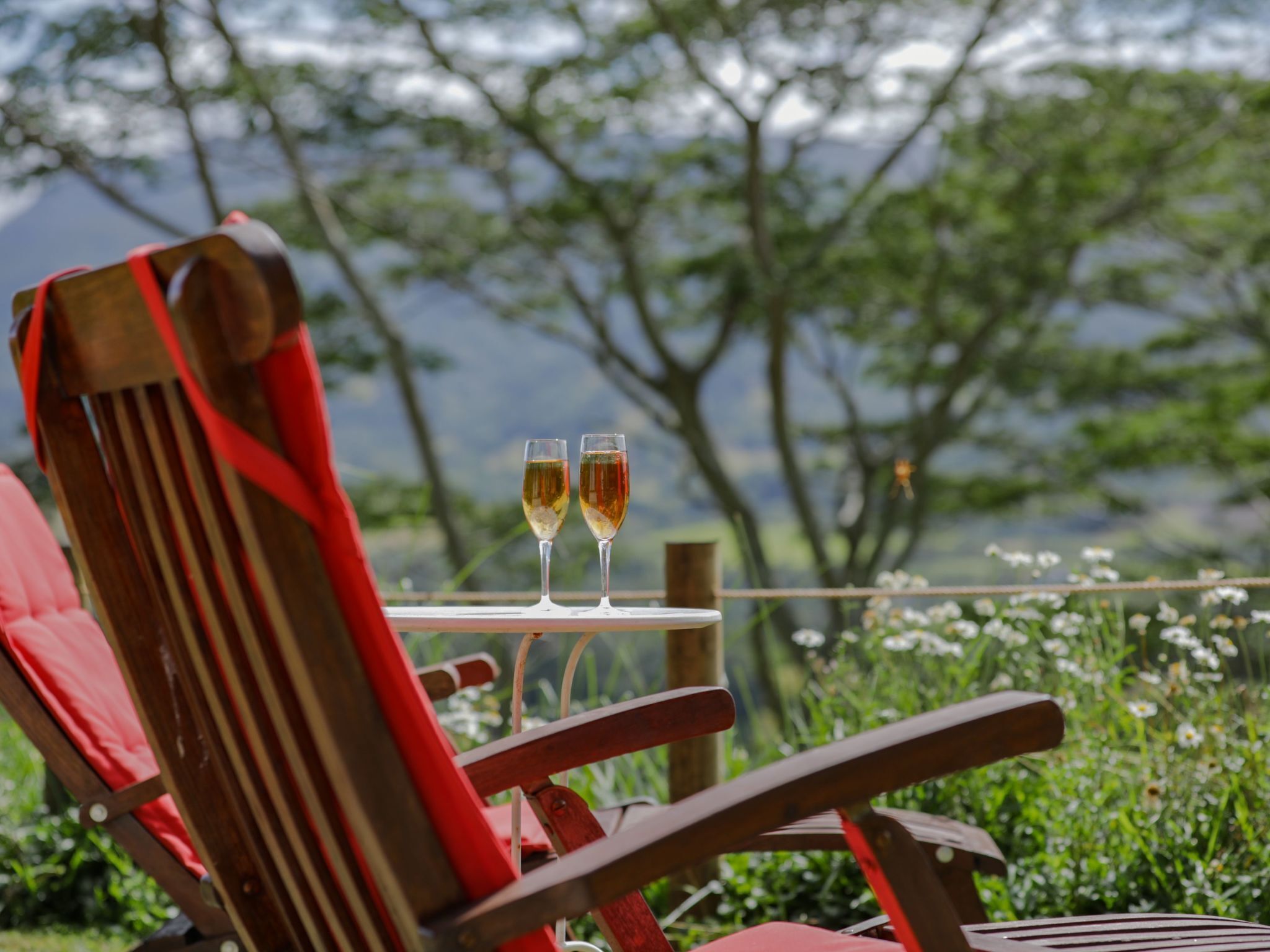 Parco della struttura