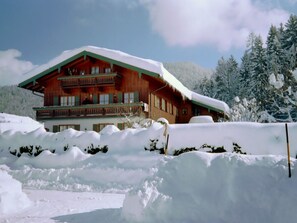 Exterior - Komfortable Ferienwohnung mit herrlichem Bergblick by Interhome (Reit im Winkl)