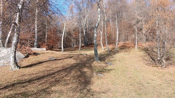 Enceinte de lâhĂ©bergement