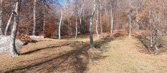 Monti di Motti Ferienhaus inmitten der Natur by Interhome