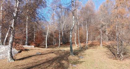 Monti di Motti Ferienhaus inmitten der Natur by Interhome