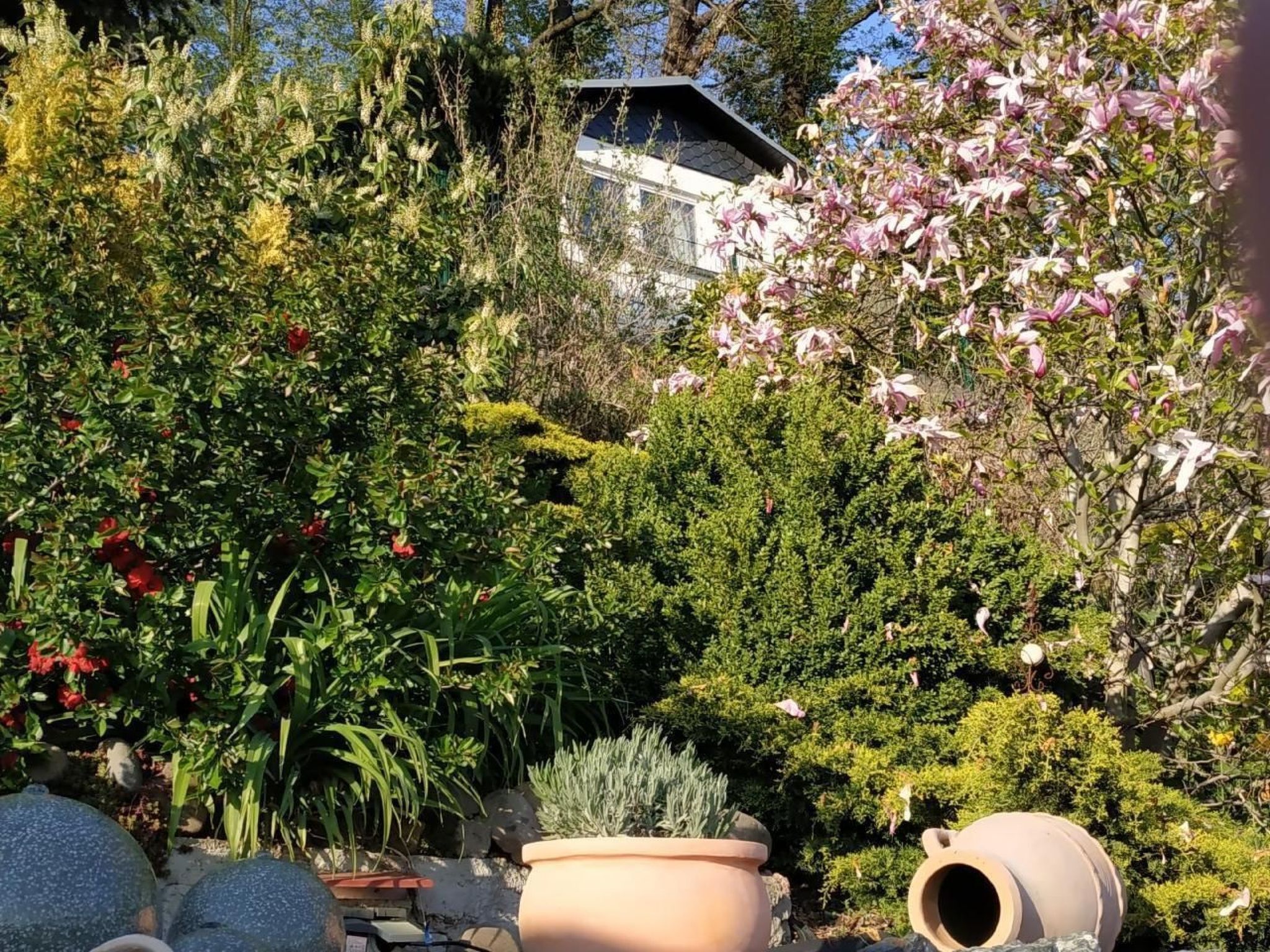 Jardines del alojamiento