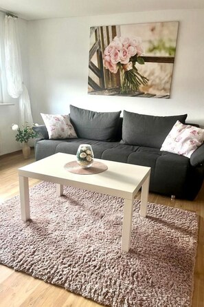 Fernseher