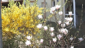 A building with a yellow facade, multiple windows, and a garden with flowering trees and a rock bed. - Wohnung in Koserow mit Garten und Grill und Neben dem Strand by Interhome (Koserow)