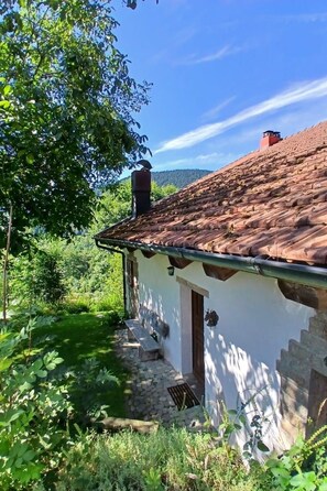 Exteriör