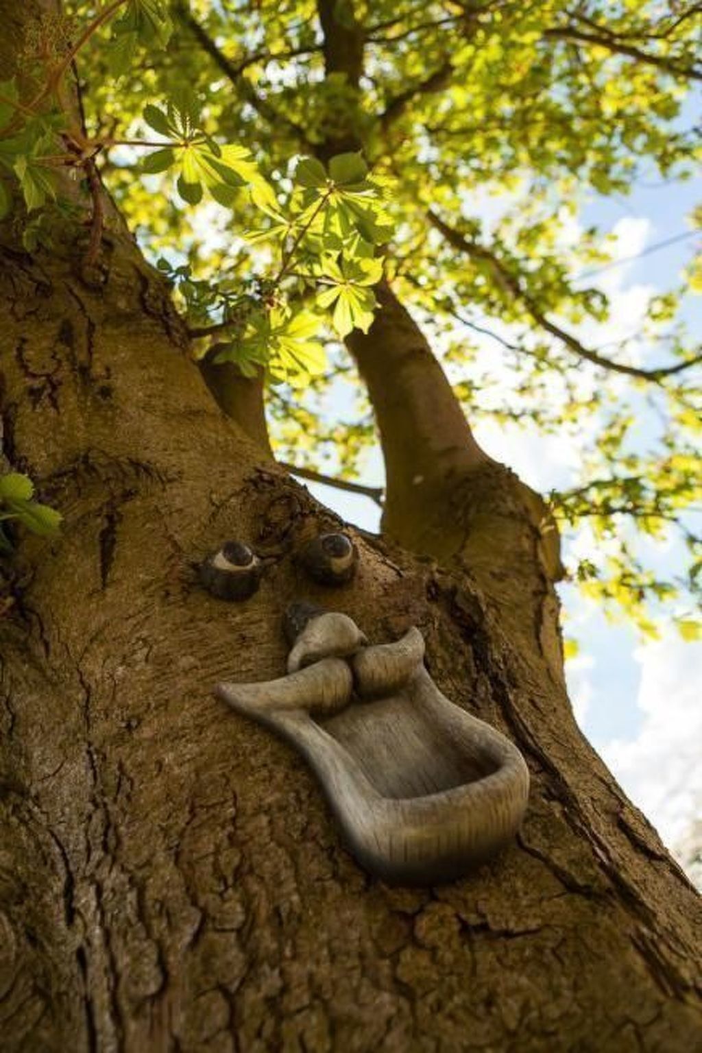 Un arbre sur lequel on a sculpté un visage et auquel est accroché un seau.