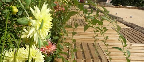 Terrein van de accommodatie