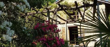 Àrea exterior de l'allotjament