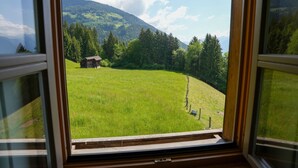 Blick durch ein Fenster auf eine grüne Wiese, eine Holzhütte und ein bewaldetes Gebirge.