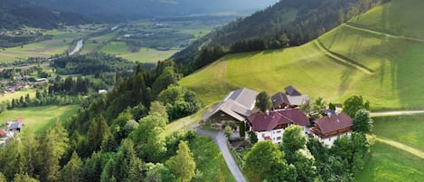 A rural house surrounded by lush greenery and a winding road.