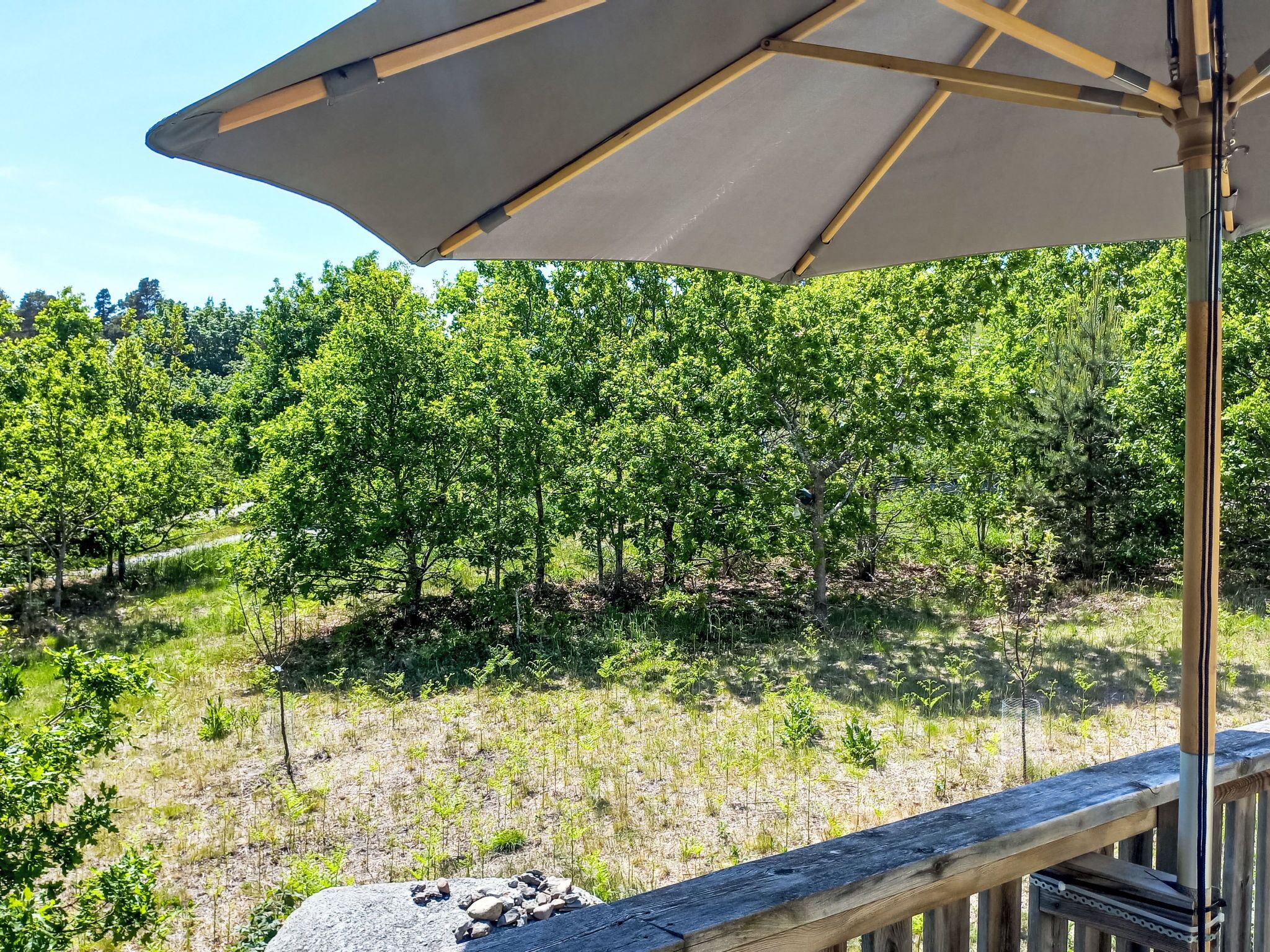 A wooden deck with a large umbrella, overlooking a forested area with trees and shrubs.