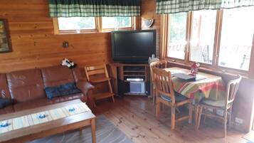 TV, lareira, DVD player