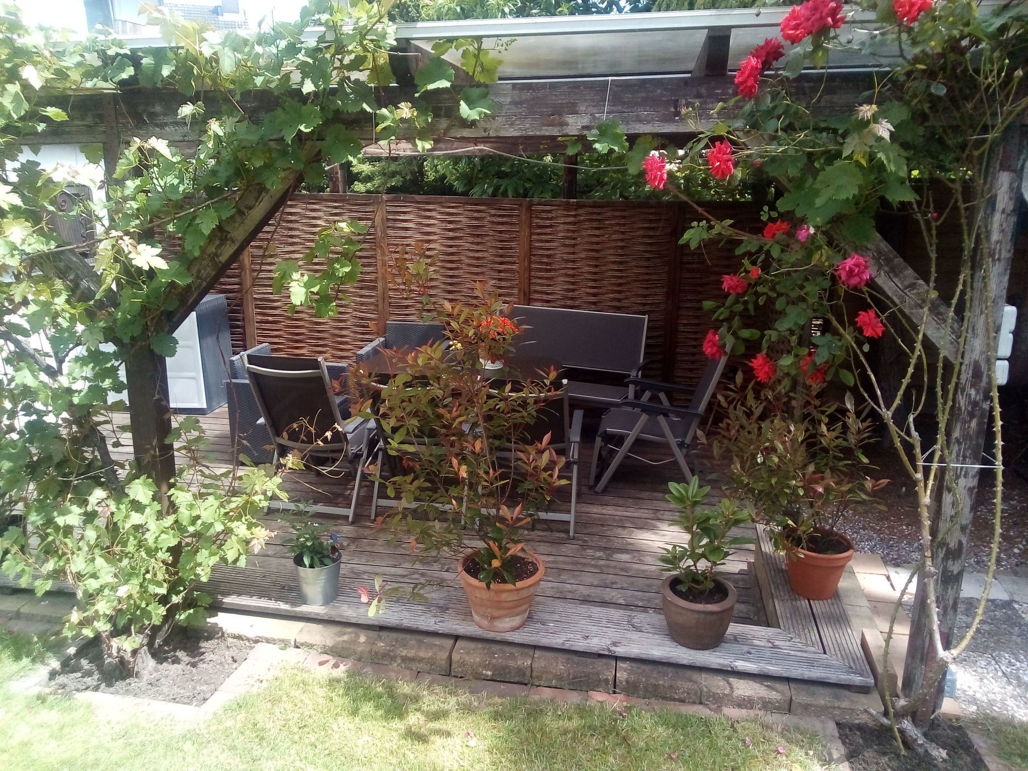 تناول الطعام با لخارج