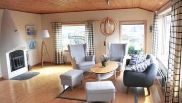 Télévision, cheminée, lecteur de DVD