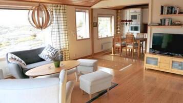 Télévision, cheminée, lecteur de DVD