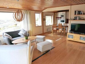 TV, fireplace, DVD player