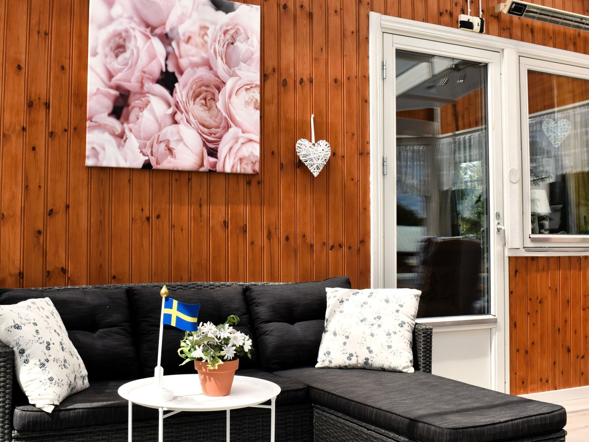 تلفزيون، مشغل دي في دي