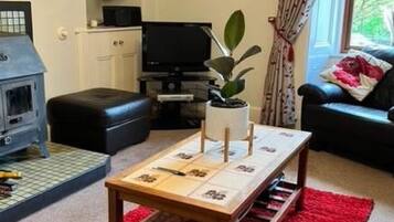 TV, fireplace, DVD player