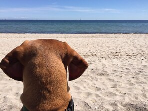 Beach - 'Heile Welt' bei Maasholm by Interhome (Hasselberg)