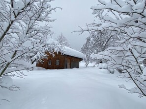 Exterior - Angelika by Interhome (Vandans)