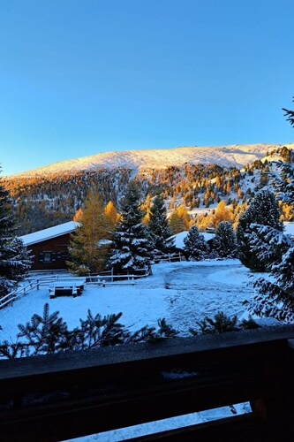 Blommen in Falkertsee by Interhome