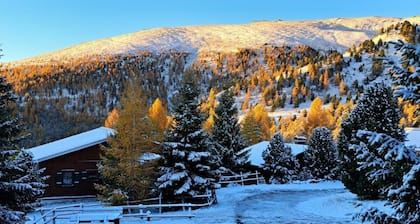 Blommen in Falkertsee by Interhome