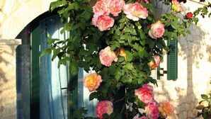 Detalhe da fachada