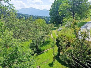 Üppige grüne Landschaft mit Bäumen und blauem Himmel.