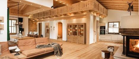 Televisión, chimenea y reproductor de DVD