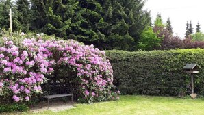 Un giardino con una panchina, un abbeveratoio per uccelli e siepi fitte.