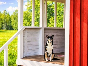 Un chien est assis sur une véranda dotée d’une terrasse en bois, d’où l’on peut admirer un paysage verdoyant.