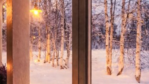 En snötäckt skogsscen som syns genom ett fönster, med kala träd och en varm ljuskälla.
