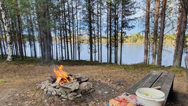 En lägereld med ett picknickbord bredvid en sjö, omgiven av träd.