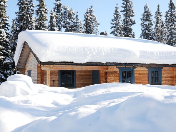 A wooden cabin with a snow-covered roof, surrounded by snow-covered trees.