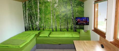1 bedroom, Internet