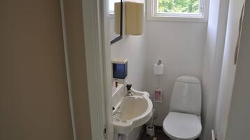 Un bagno piccolo e funzionale, con il water, un lavabo e uno specchio.