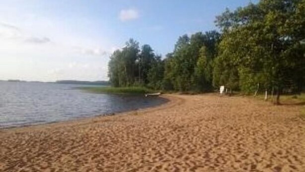 Une plage de sable avec des arbres et un ciel dégagé.