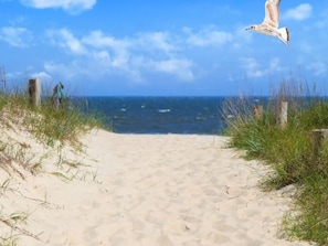 A sandy beach path leading to the ocean with seagulls flying overhead. - Schwemm by Interhome (Norden)
