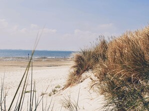 En sandstrand med klitter og et klart havudsyn.