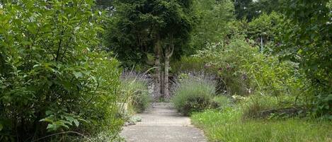 المنطقة المحيطة بالمنشأة