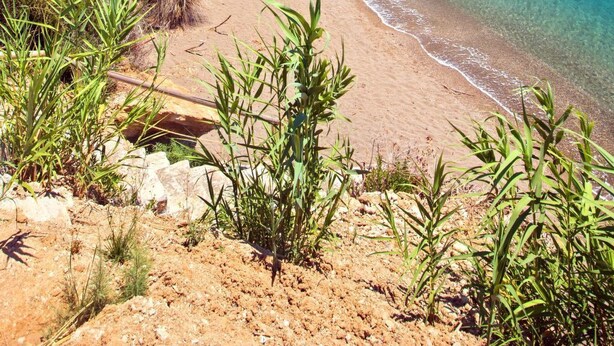 Unclassified image, 1 of 56, button - Wohnung mit Gartenblick, Kreta, Ierapetra by Interhome (Anatoli)