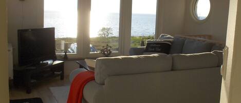 Fireplace, DVD player