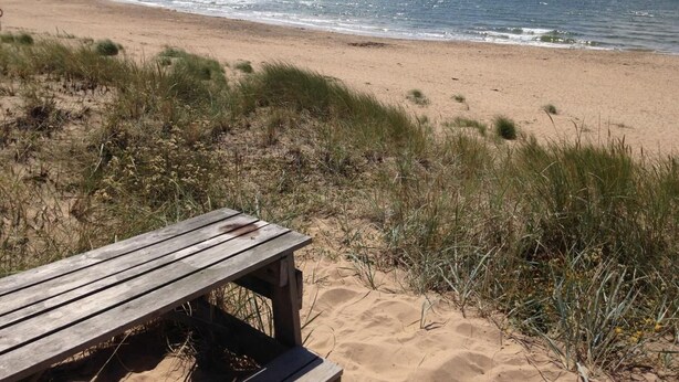 Une plage avec un banc en bois et des dunes de sable.