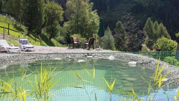A clear pool with a wire fence, surrounded by greenery and trees.