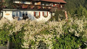 A traditional chalet with a sloped roof, wooden balconies with flower boxes, and a view of a forested hillside.