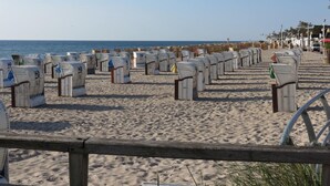 Una playa con hileras de sillas y sombrillas.