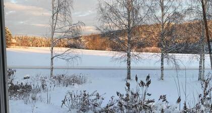 Schöne groĂe "Villa Stolle" 9 Personen 2 BĂ€der by Interhome